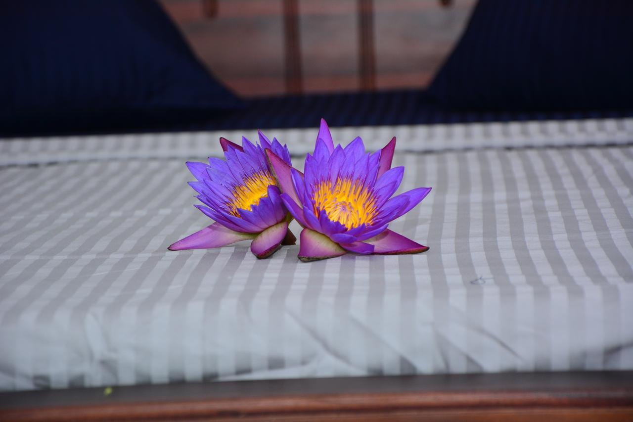 Hiru Villa 탕갈레 외부 사진