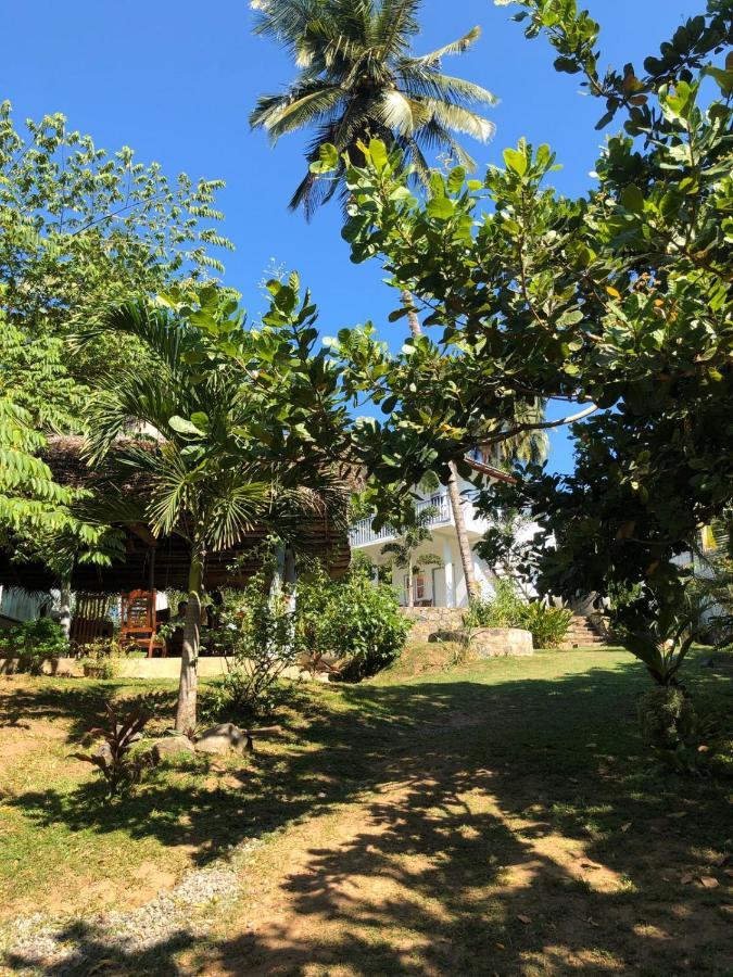 Hiru Villa 탕갈레 외부 사진